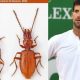 Inspiredlovers new-serbian-beetle-species-named-after-tennis-legend-novak-djokovic-1200x675-1-80x80 Serbian scientists name new species of beetle after Novak Djokovic Sports Tennis  Tennis World Tennis News Novak Djokovic ATP 