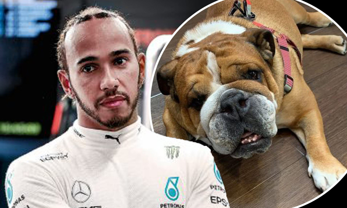 Inspiredlovers Lewis-Hamilton-Rocks-Up-to-Silverstone-with-Adorable-Date-who-F1-Fans-Love Lewis Hamilton Rocks Up to Silverstone with Adorable Date who F1 Fans Love Boxing Sports  Lewis Hamilton Formula 1 F1 News 