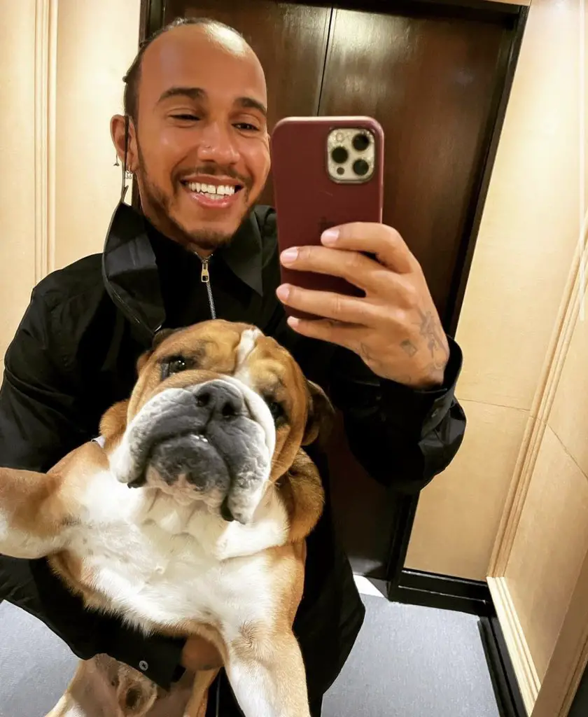 Inspiredlovers Roscoe-Lewis-Hamilton Lewis Hamilton Rocks Up to Silverstone with Adorable Date who F1 Fans Love Boxing Sports  Lewis Hamilton Formula 1 F1 News 