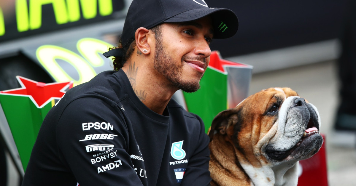 Inspiredlovers lewis-hamilton-dog-vegan Lewis Hamilton Rocks Up to Silverstone with Adorable Date who F1 Fans Love Boxing Sports  Lewis Hamilton Formula 1 F1 News 